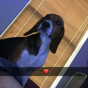 Meet your Posher, Susan